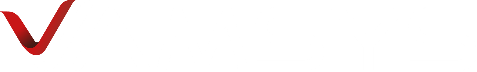 vAMSYS Logo
